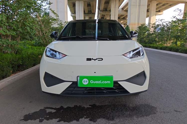 BYD Seagull 2025 — 2