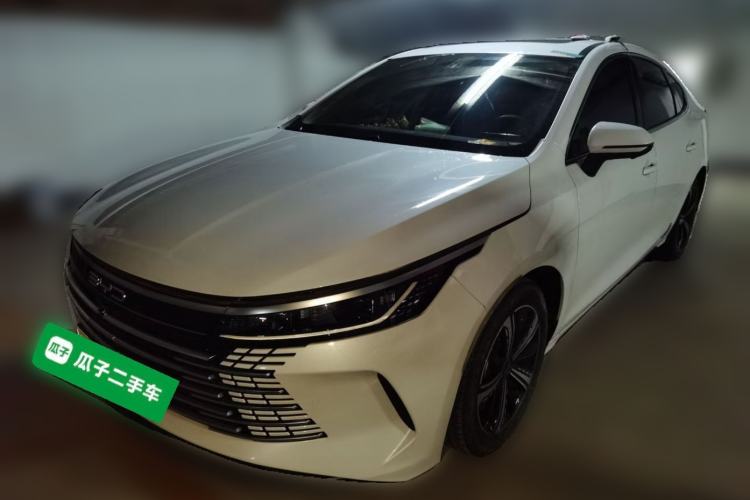 BYD Destroyer 05 2022 — фото 1