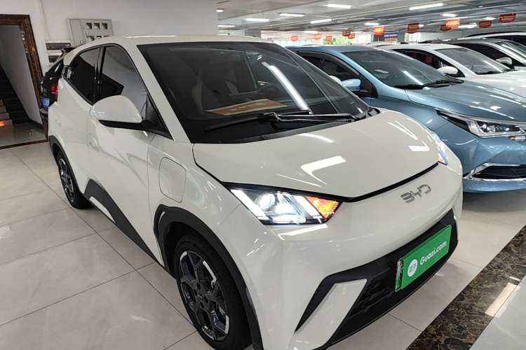 BYD Dolphin Mini 2025 — фото 3