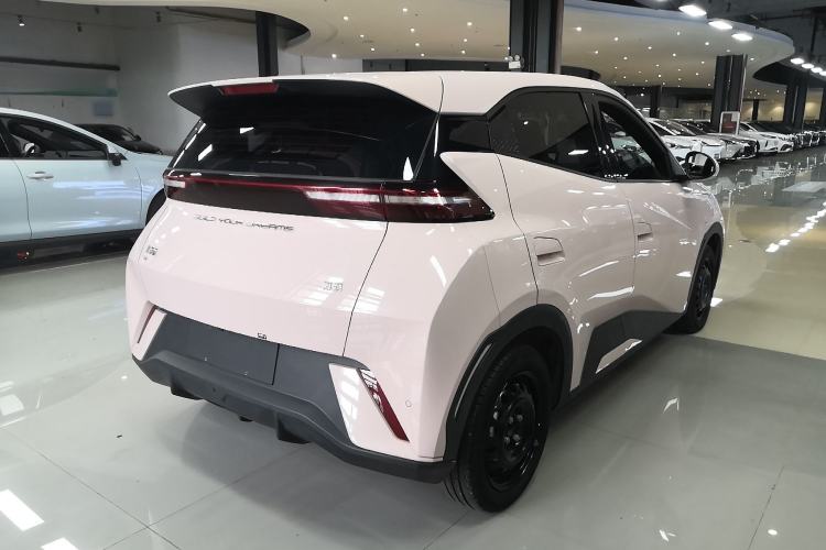 BYD Seagull 2024 — 5