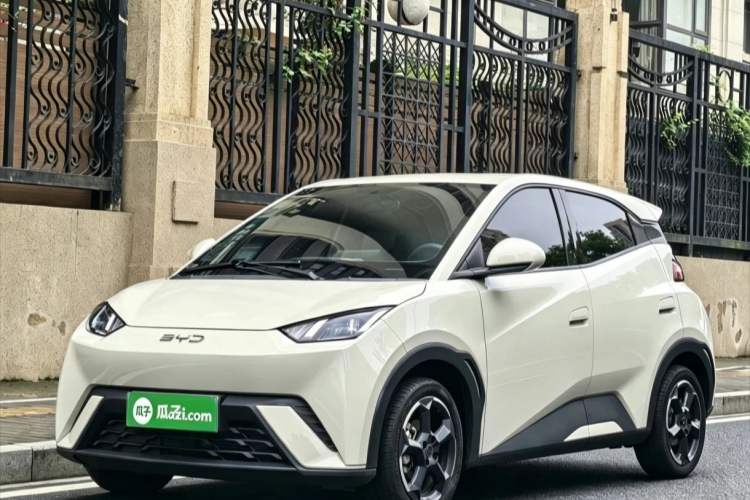BYD Seagull 2024 — 2