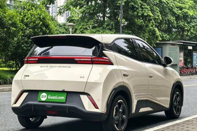 BYD Seagull 2024 — 5