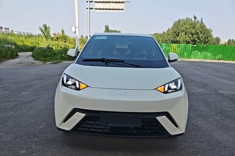 BYD Dolphin Mini 2025 — 2