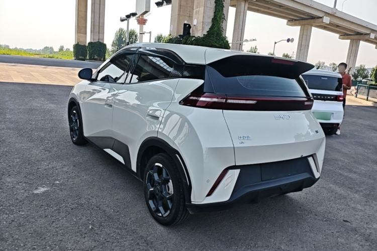 BYD Dolphin Mini 2025 — 4