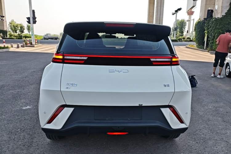 BYD Dolphin Mini 2025 — 5
