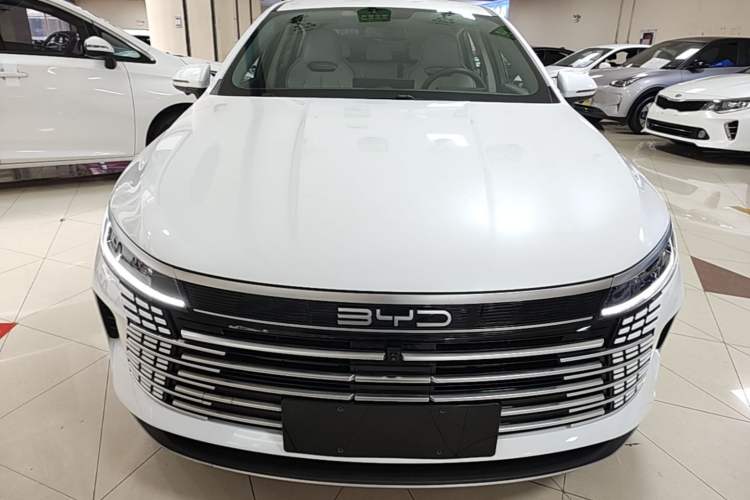 BYD Destroyer 05 2024 — фото 2