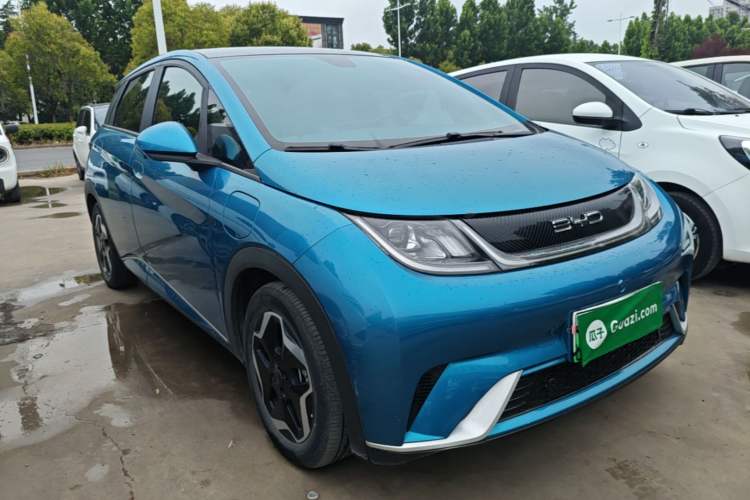 BYD Dolphin 2021 — 3