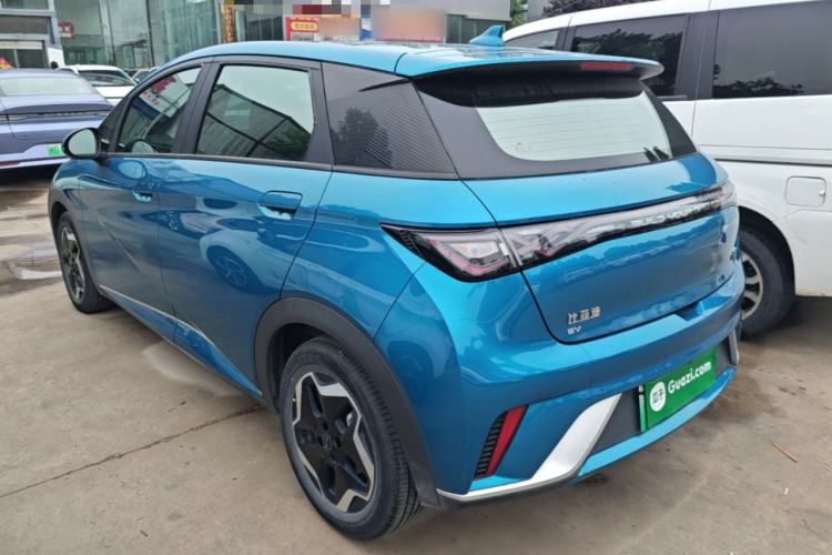 BYD Dolphin 2021 — 4