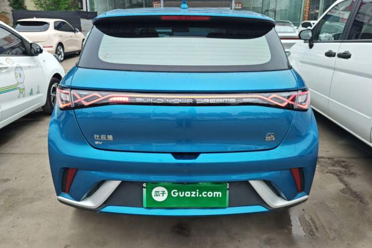 BYD Dolphin 2021 — 5
