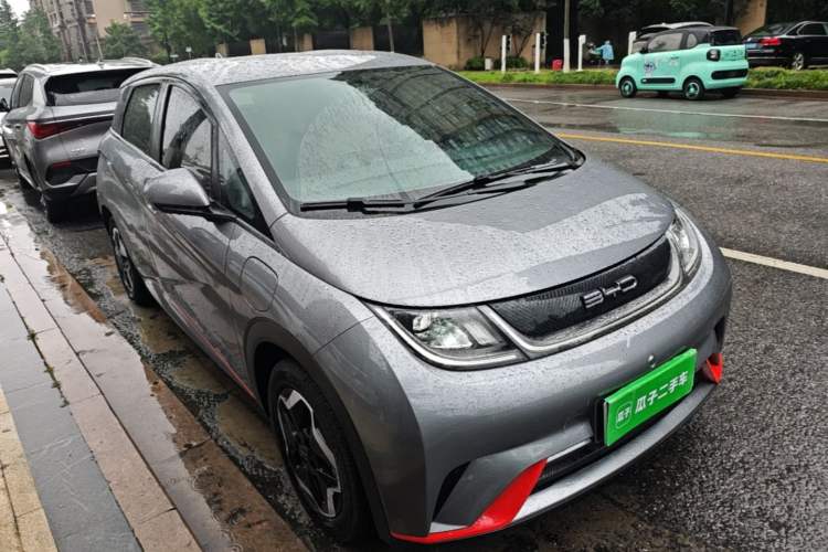 BYD Dolphin 2021 — 3