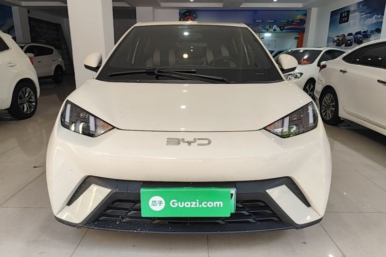 BYD Seagull 2024 — 2