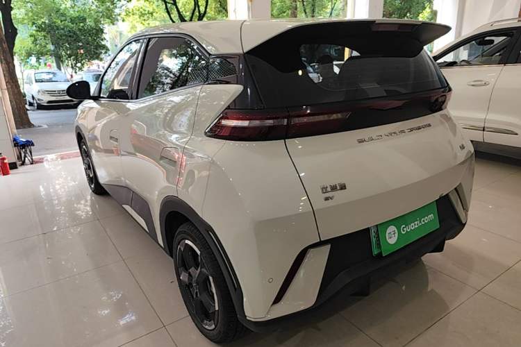 BYD Seagull 2024 — 4