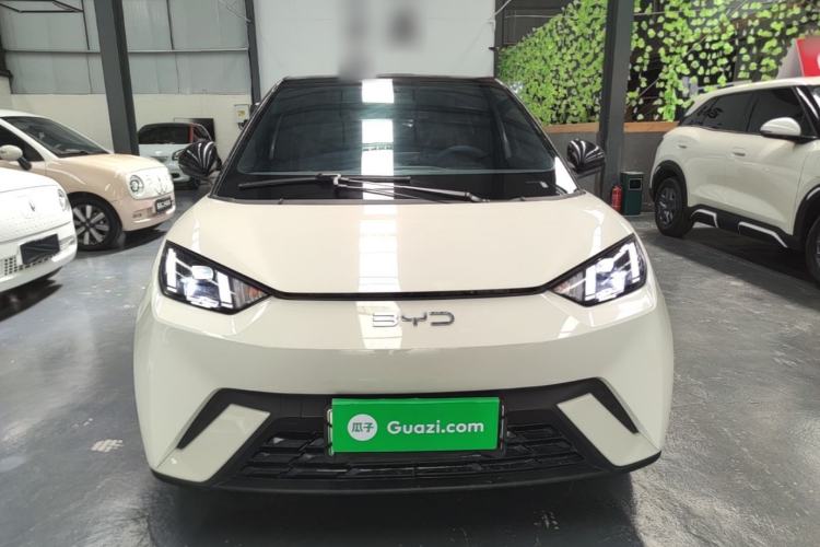BYD Seagull 2024 — 2