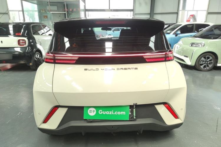 BYD Seagull 2024 — 5