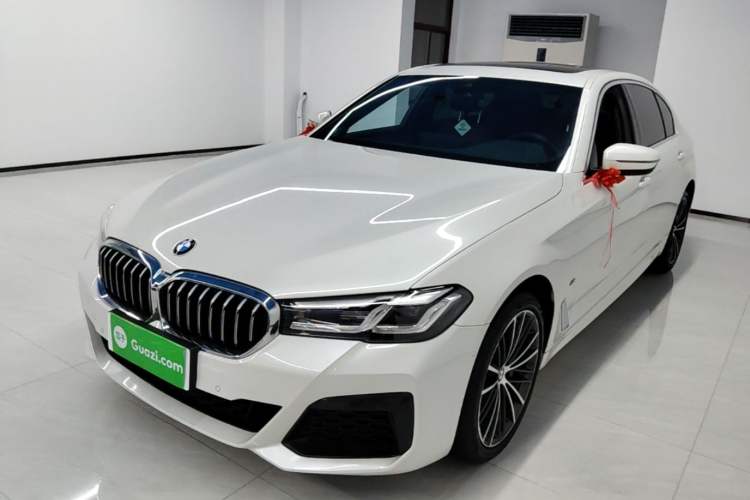BMW 530Li 2021 — фото 1