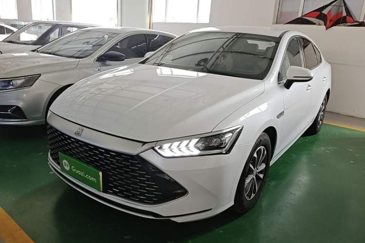 BYD Qin PLUS 2024 — фото 1