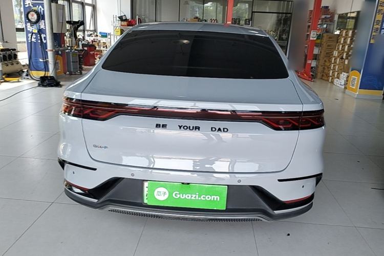 BYD Han 2022 — 5