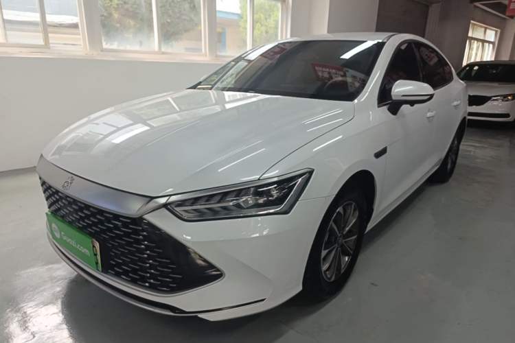 BYD Qin PLUS 2024 — фото 1