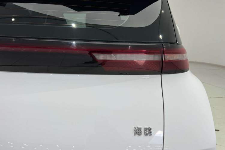 BYD Seagull 2024 — 5