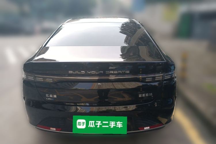 BYD Destroyer 05 2024 — 3