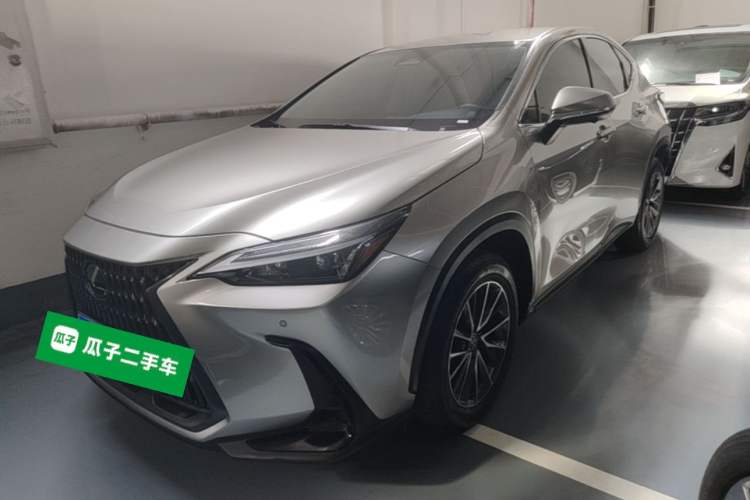 Lexus nx 2024 — фото 1