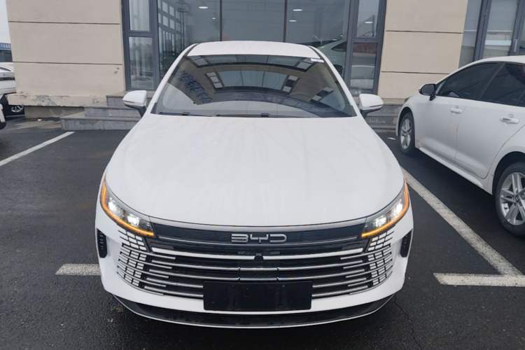 BYD Destroyer 05 2024 — 2