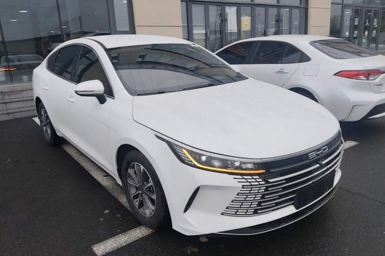BYD Destroyer 05 2024 — 3