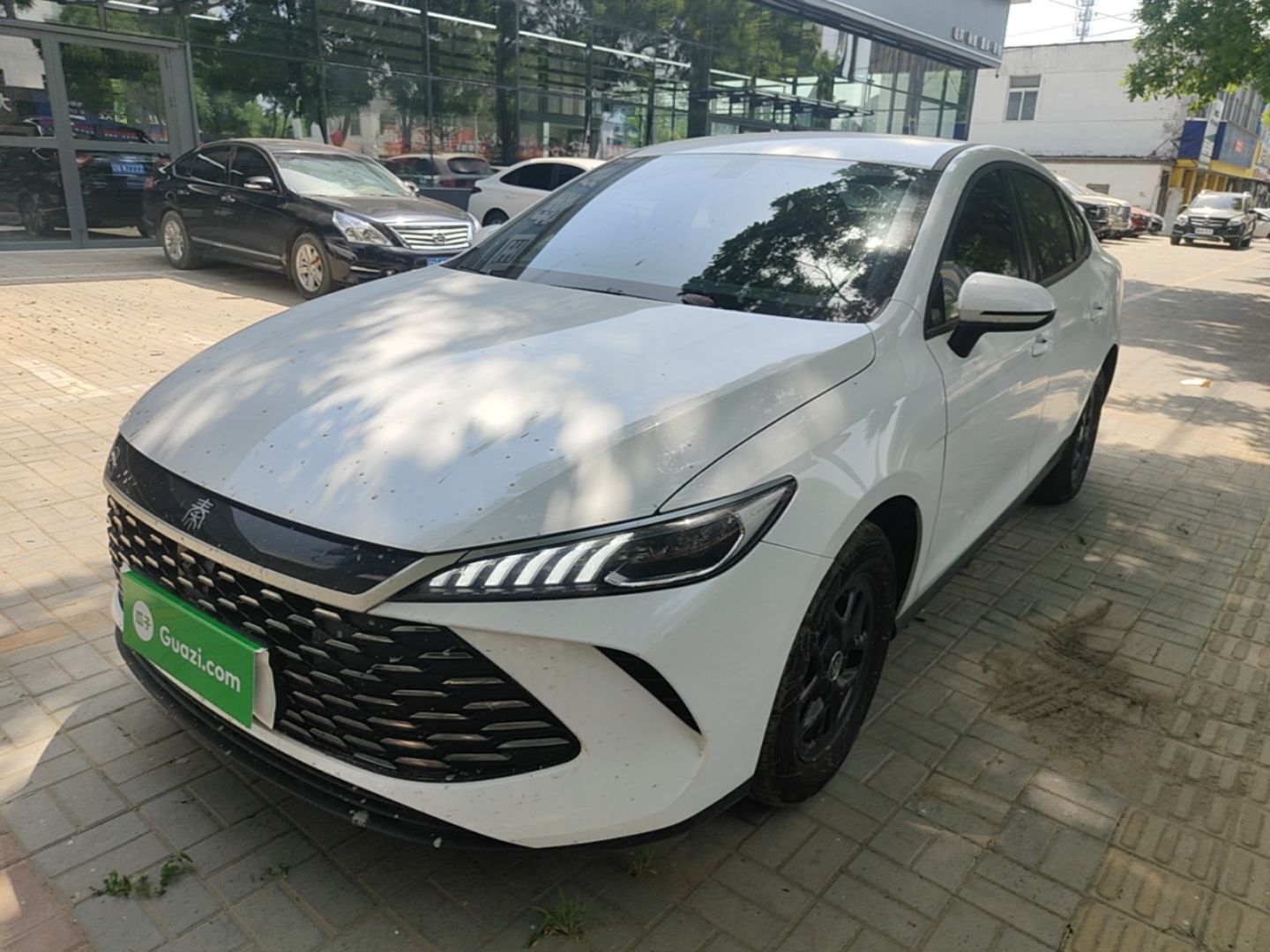 BYD Qin PLUS 2025 — фото 1