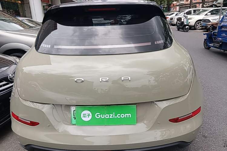 Ora Good Cat 2022 — 5