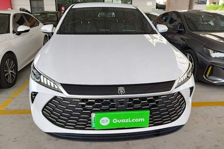 BYD Qin PLUS 2025 — фото 2