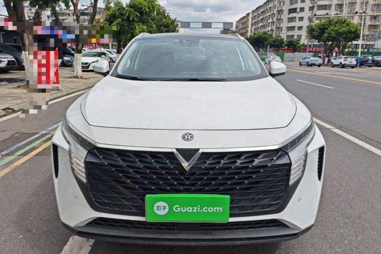 Venucia V 2021 — 2