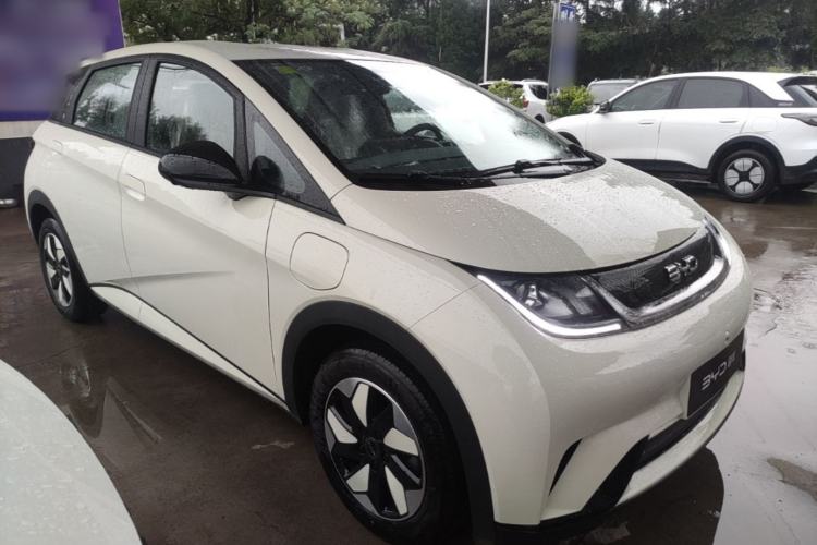 BYD Dolphin 2025 — 3