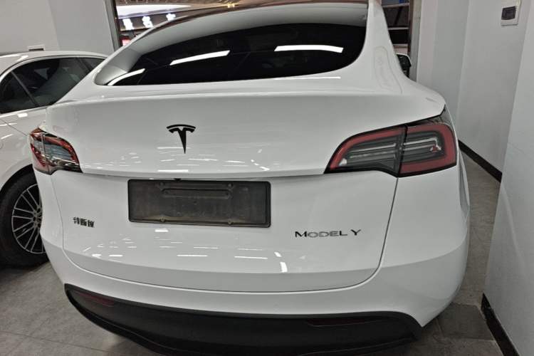 Tesla Model Y 2023 — фото 5
