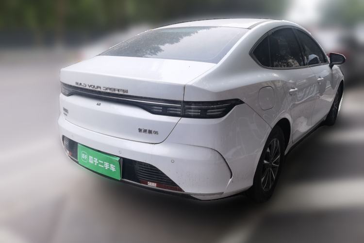 BYD Destroyer 05 2023 — 4