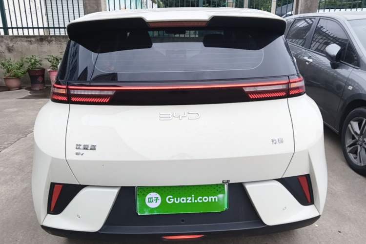 BYD Seagull 2025 — 5