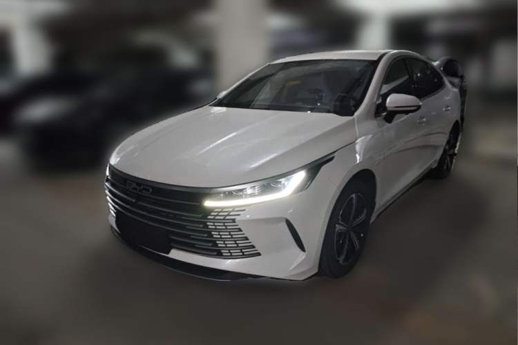 BYD Destroyer 05 2024 — 3