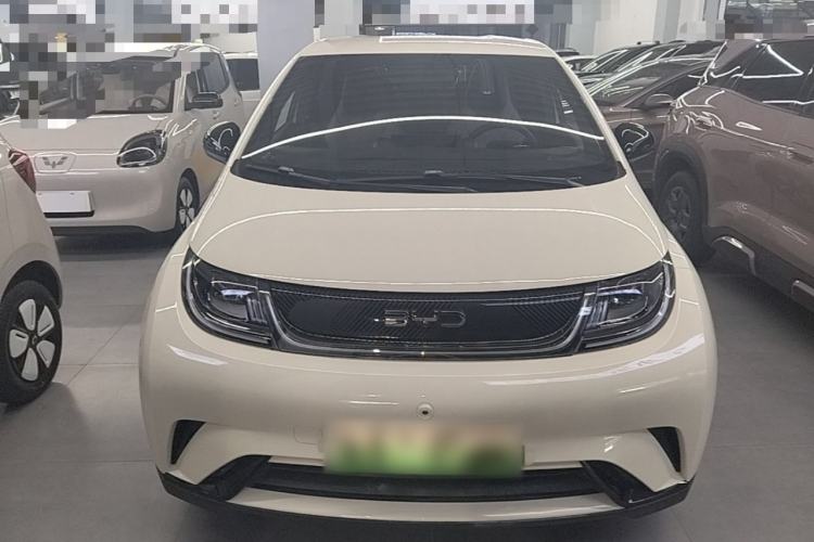 BYD Dolphin 2025 — 2