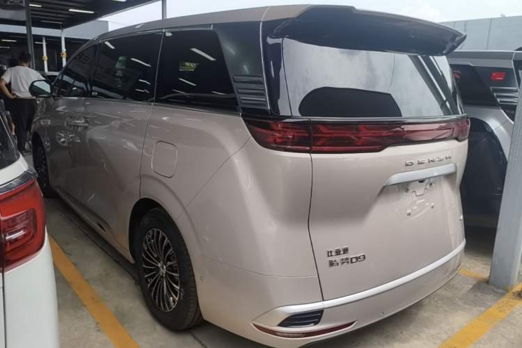 Denza D9 2022 — 4