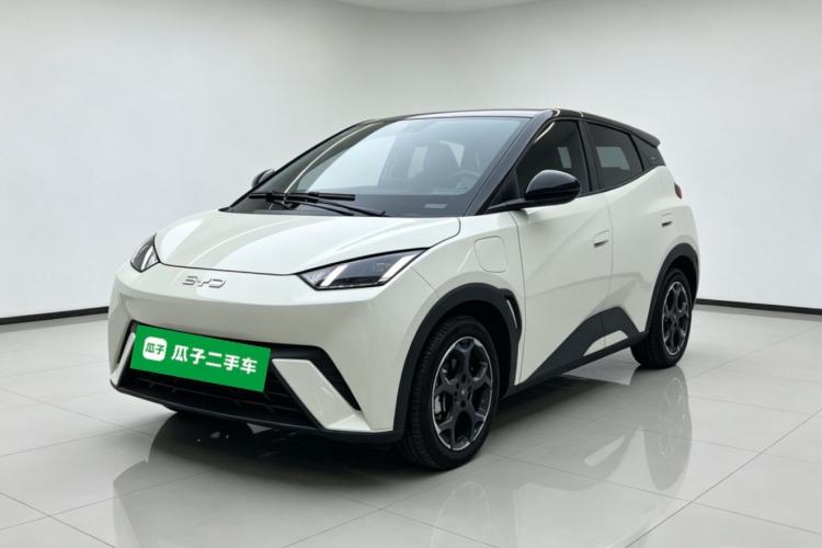 BYD Dolphin Mini 2025 — фото 1