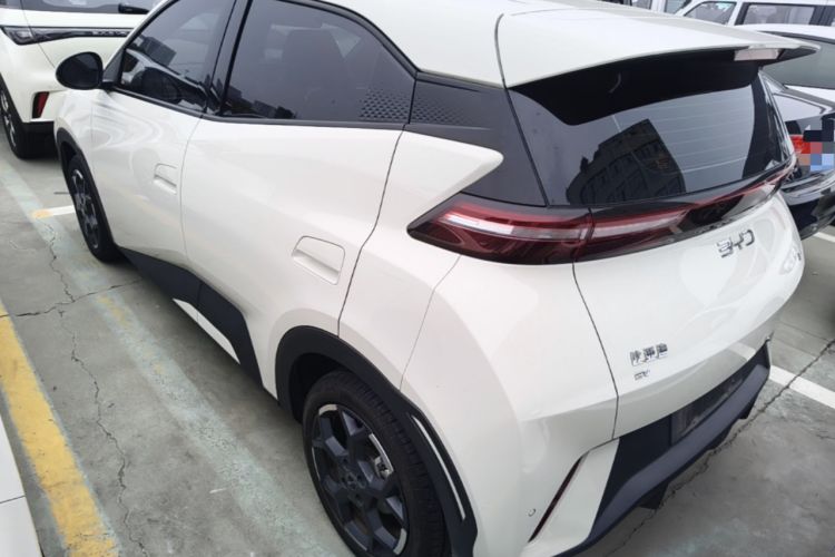 BYD Dolphin Mini 2025 — фото 4