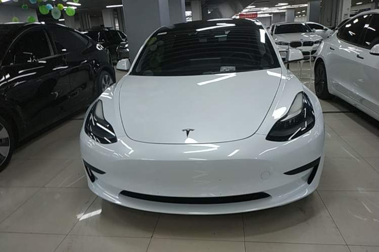 Tesla Model 3 2021 — 2
