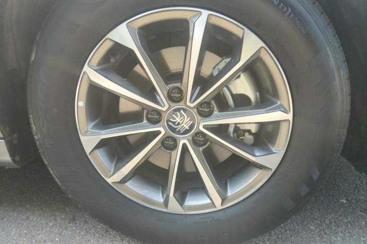 BYD Qin PLUS 2024 — фото 2