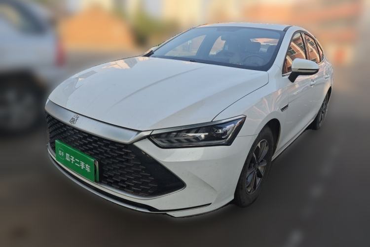 BYD Qin PLUS 2024 — фото 1