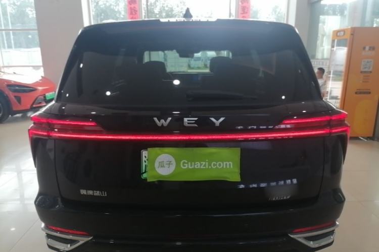 WEY Lanshan 2023 — 5
