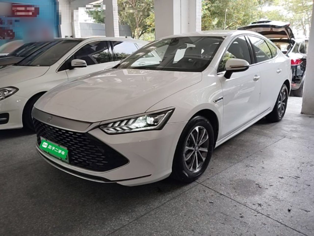 BYD qin plus 2024 — фото 1