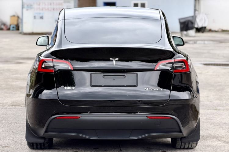 Tesla Model Y 2021 — 5