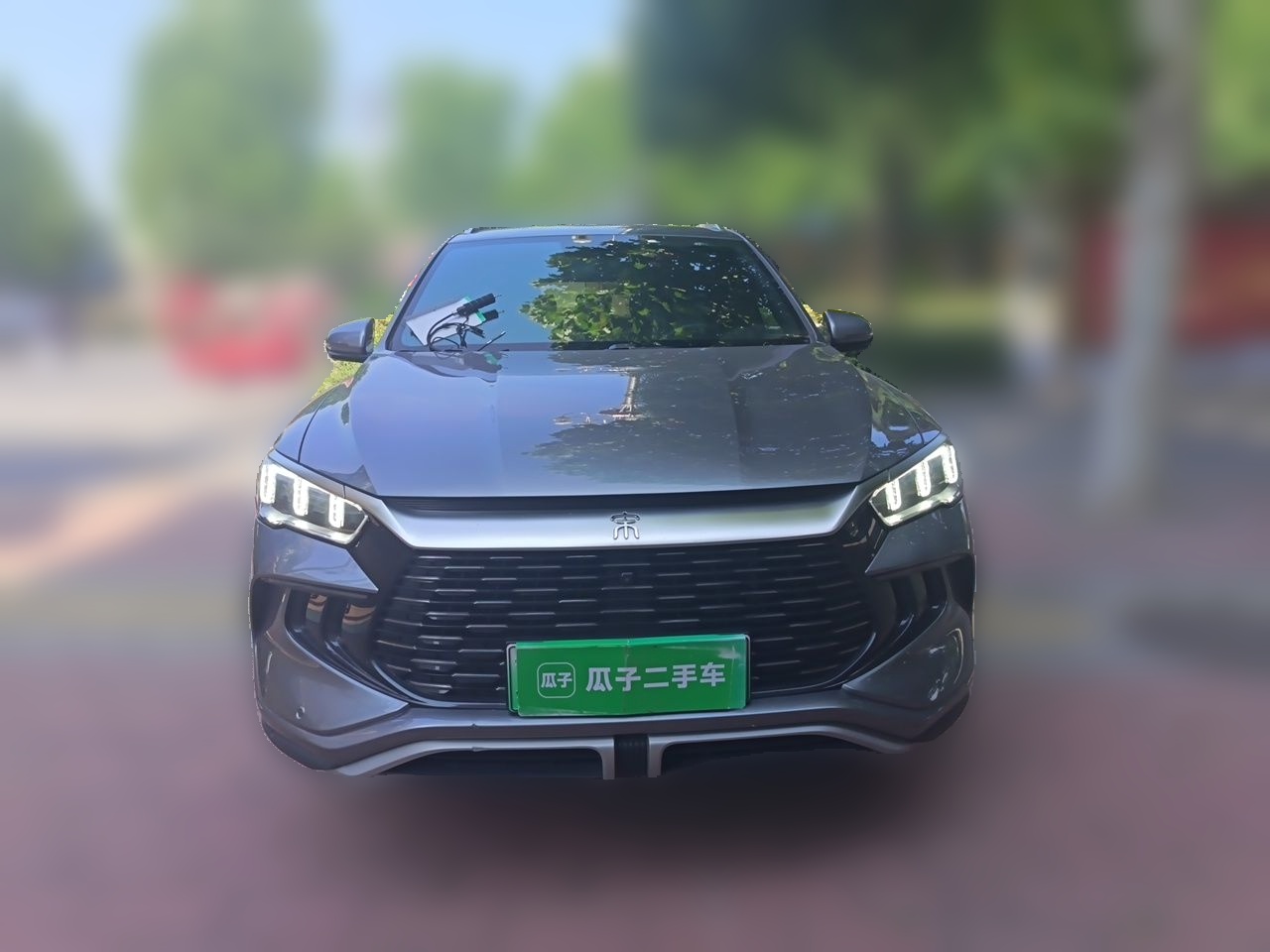 BYD song pro new energy 2023 — фото 2