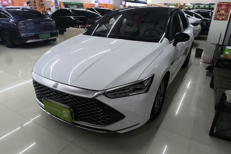 BYD Qin PLUS 2024 — фото 1
