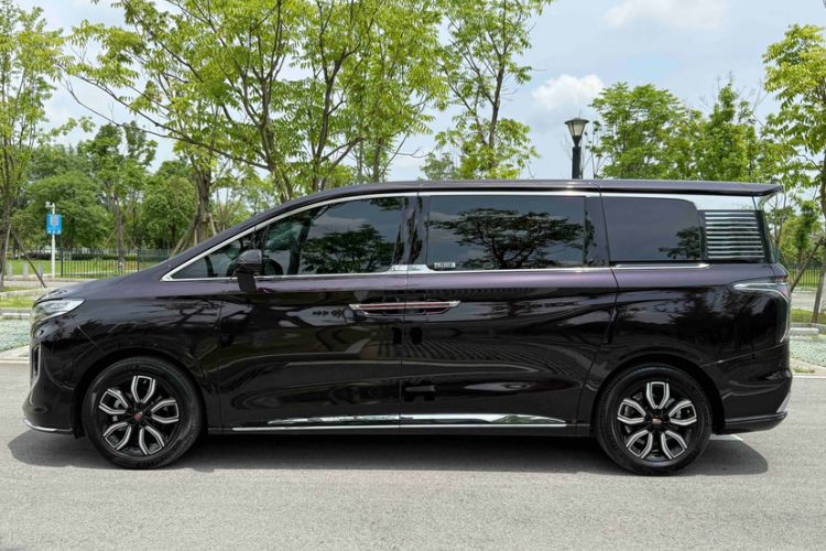 Hongqi HQ9 2023 — 3