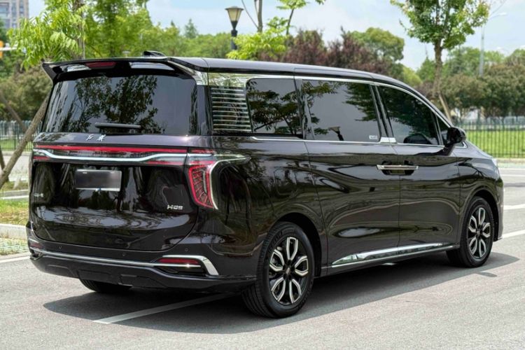 Hongqi HQ9 2023 — 5
